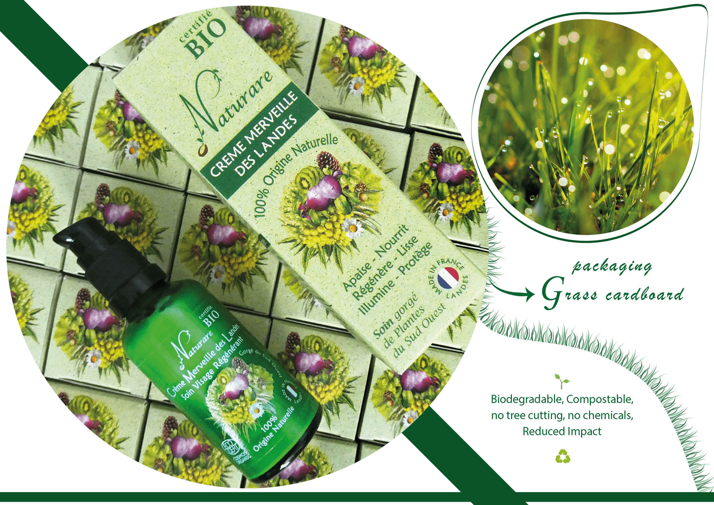 Soin régénérant Crème anti-âge hydratante Made in France